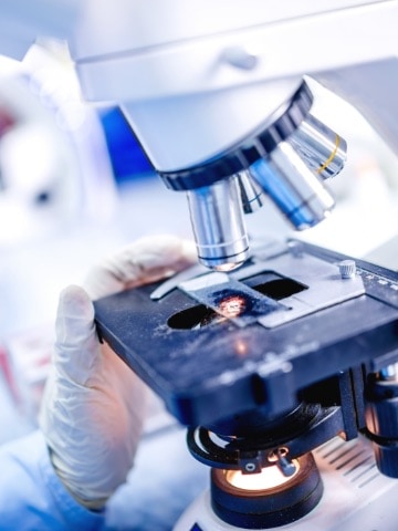 img-medical-pharmacy-canvass-1